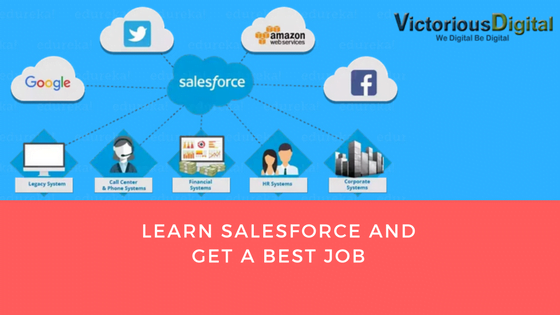 learn salesforce with Victorious Digital