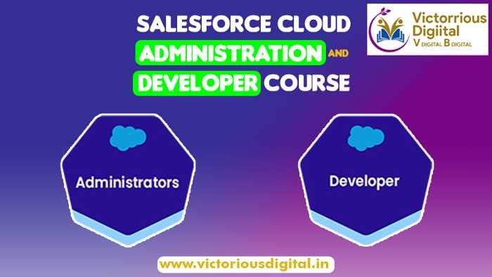 Salesforce Cloud Administration & Developer Course - Victorious Digital