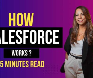 How Salesforce Works? -Victorious Digital