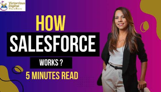 How Salesforce Works? -Victorious Digital