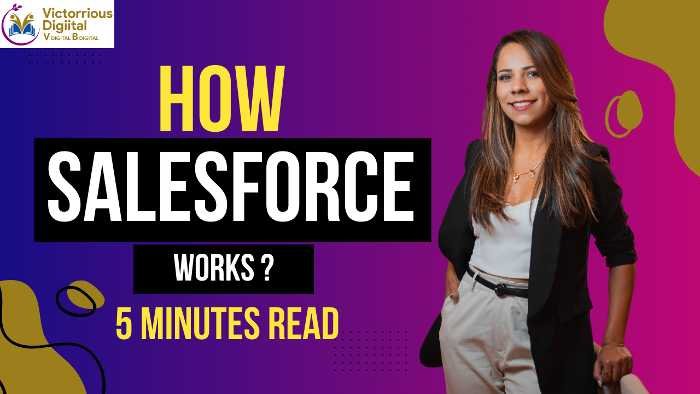 How Salesforce Works? -Victorious Digital