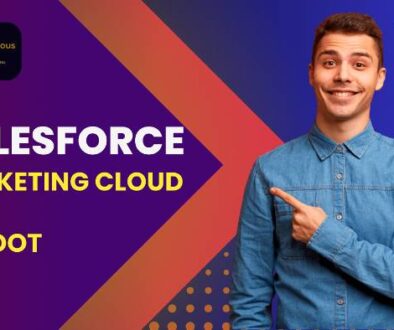 Salesforce Marketing Cloude vs Pardot - Victorious Digital