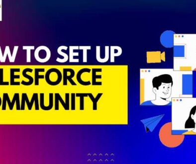 Setup Salesforce Community - Victorious Digital