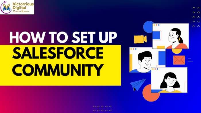 Setup Salesforce Community - Victorious Digital