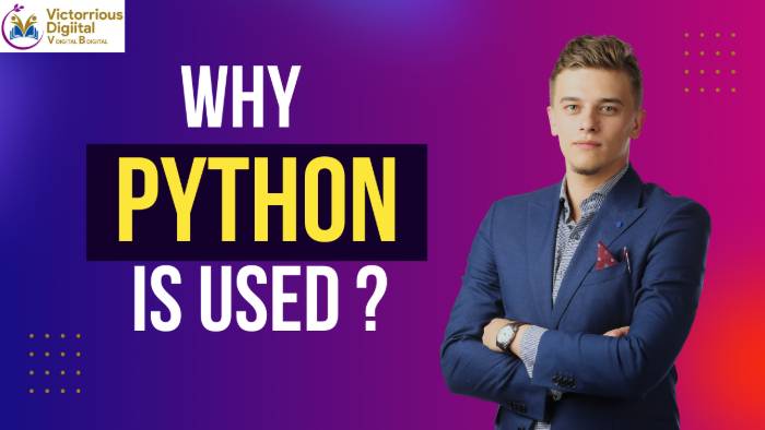 What is Python Used For? Top Applications Explained